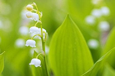 第10位！ 英雄联盟格斗游戏《2XKO》最后一名角色被挖出